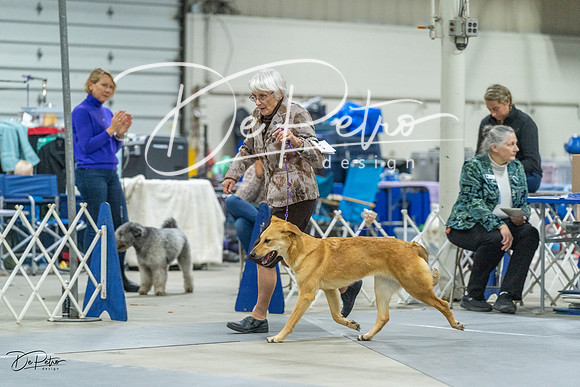 20230304-DSC01603