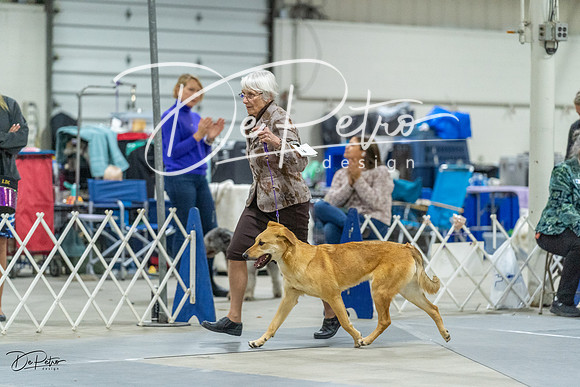 20230304-DSC01605