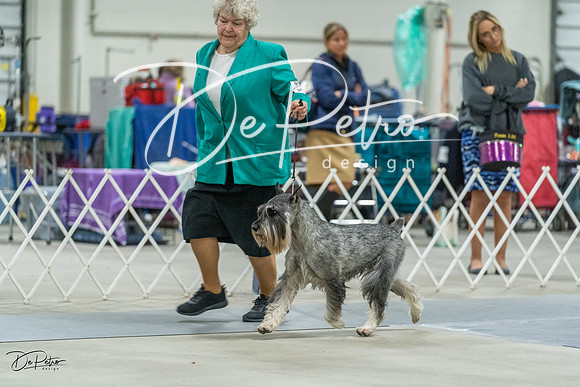 20230304-DSC01622