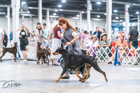 20260704-DSC01827