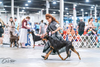 20260704-DSC01822