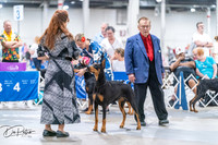 20260704-DSC01835