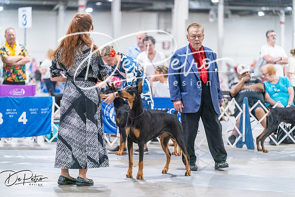 20260704-DSC01835