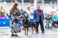 20260704-DSC01836