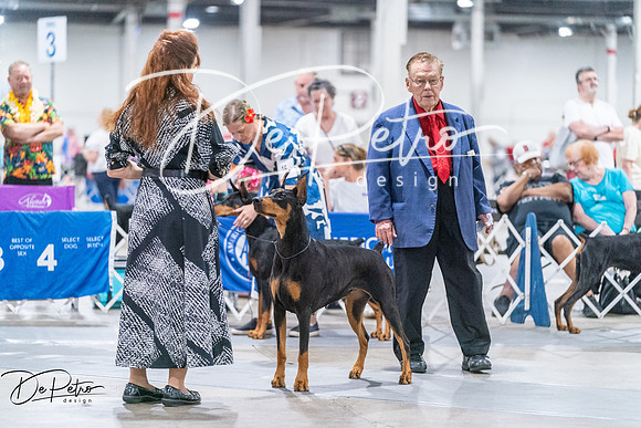 20260704-DSC01836