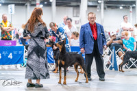 20260704-DSC01837