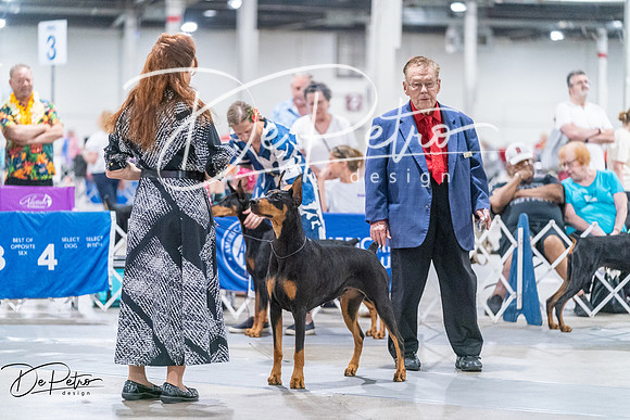 20260704-DSC01837