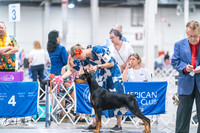 20260704-DSC01841