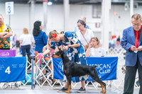20260704-DSC01844