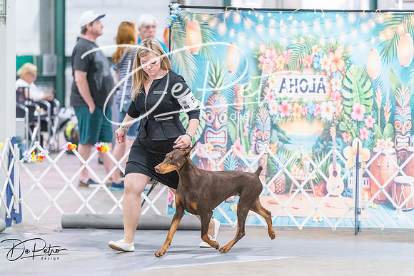 20260704-DSC01752