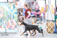 20260704-DSC01795