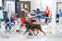 20260704-DSC02541