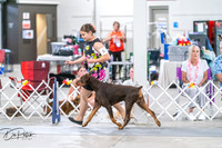 20260704-DSC02536