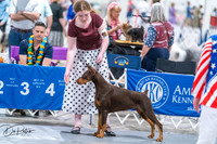 20260704-DSC02555