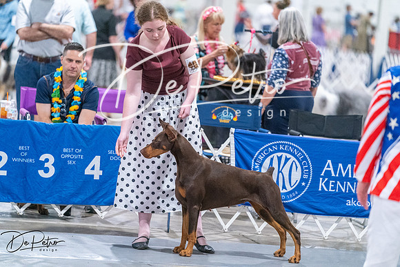 20260704-DSC02556