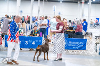 20260704-DSC02567