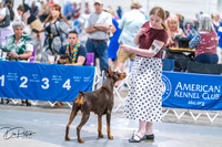 20260704-DSC02563