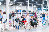 20260704-DSC02579
