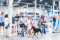 20260704-DSC02584