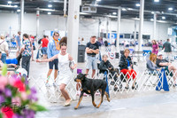 20260704-DSC02590