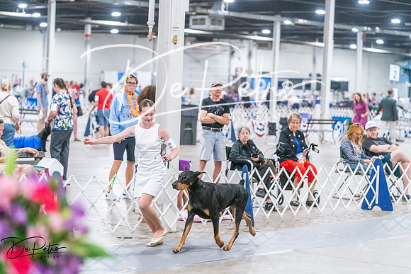20260704-DSC02590