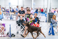 20260704-DSC02607