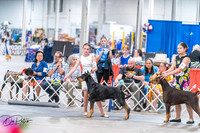 20260704-DSC02658