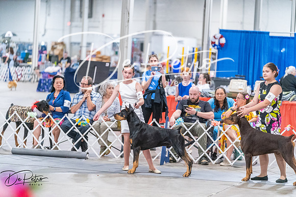 20260704-DSC02658