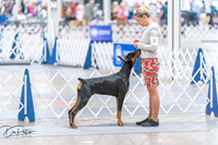 20260701-DSC09908