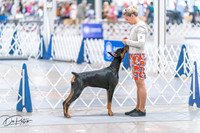 20260701-DSC09909