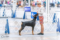 20260701-DSC09910