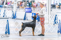 20260701-DSC09914