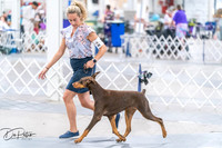 20260701-DSC09923