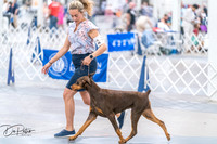 20260701-DSC09938