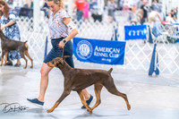 20260701-DSC09943