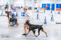 20260701-DSC09974