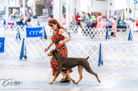 20260702-DSC00655