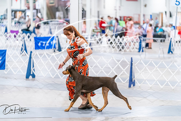 20260702-DSC00655