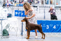 20260702-DSC00669