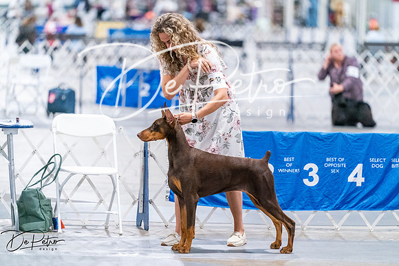 20260702-DSC00669