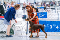 20260702-DSC00640