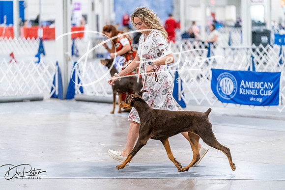 20260702-DSC00681