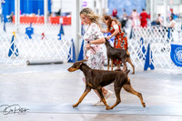 20260702-DSC00686