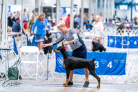 20260702-DSC00690