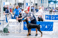 20260702-DSC00691