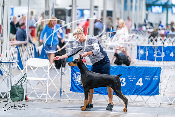 20260702-DSC00691