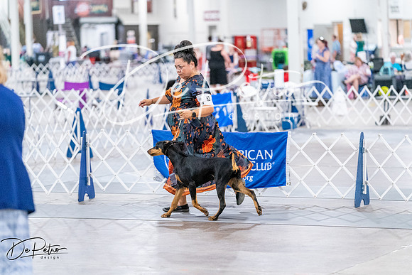 20260702-DSC00746