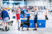 20260702-DSC00576