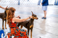 20260702-DSC00595