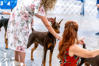 20260702-DSC00602